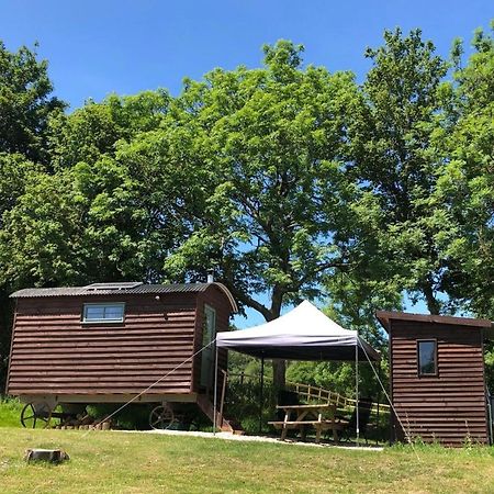 The Shepherds Hut At The Shippen, Tiphayes Honiton Zewnętrze zdjęcie
