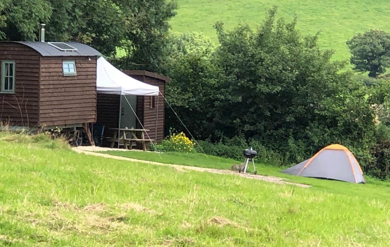 The Shepherds Hut At The Shippen, Tiphayes Honiton Zewnętrze zdjęcie